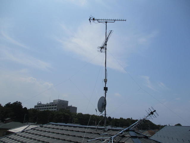 IMG_3260.jpg