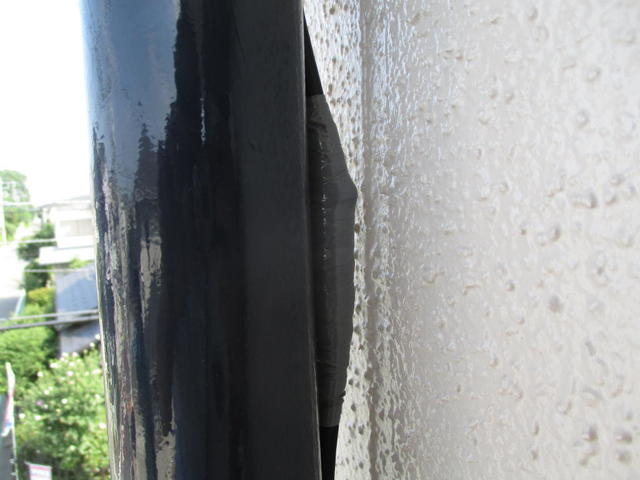 IMG_3267.jpg