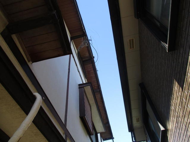 屋根から落ち、支線1本で吊るされてブラブラ
