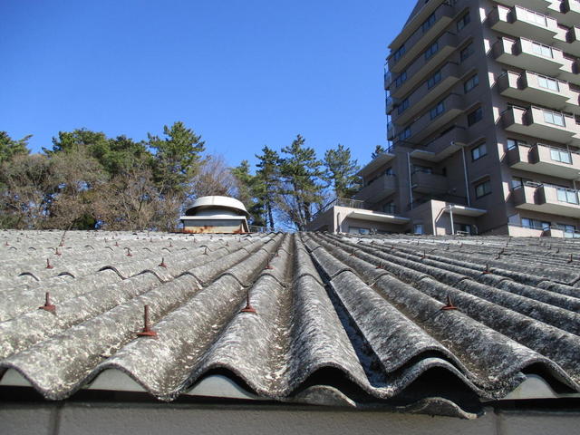 IMG_5646 のコピー.jpg