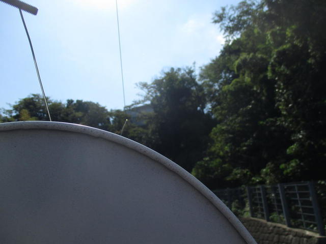 BS衛星方向に森