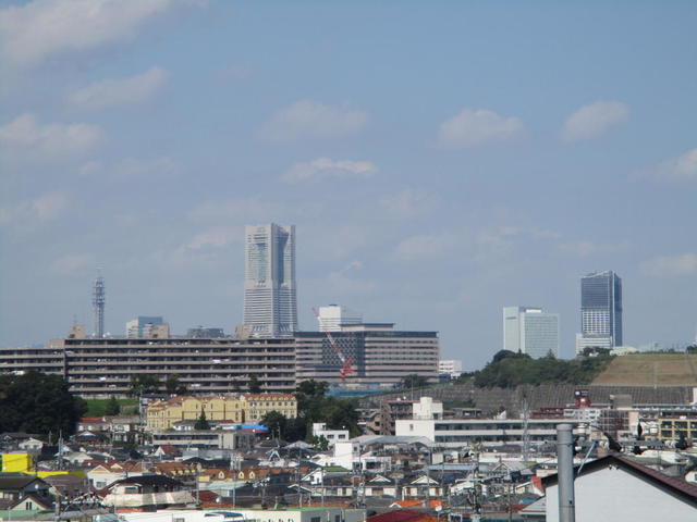 IMG_3613.jpg