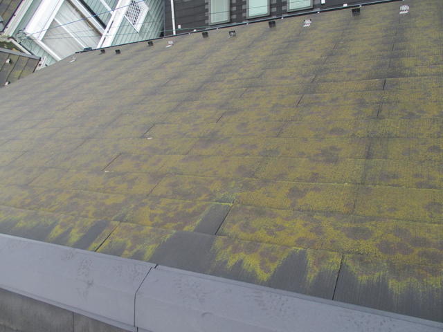 IMG_6439.jpg