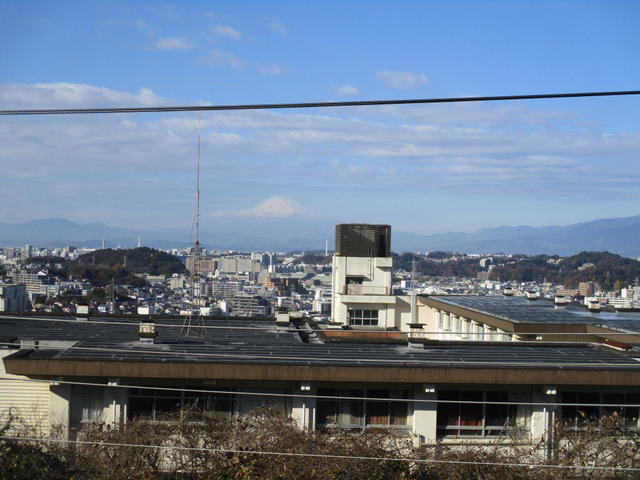 IMG_7208.jpg