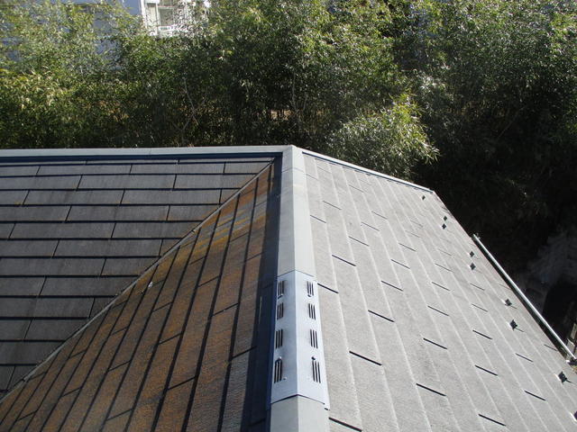 IMG_7539.jpg