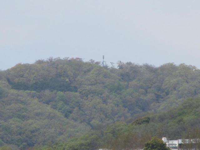 真後ろにある秦野局
