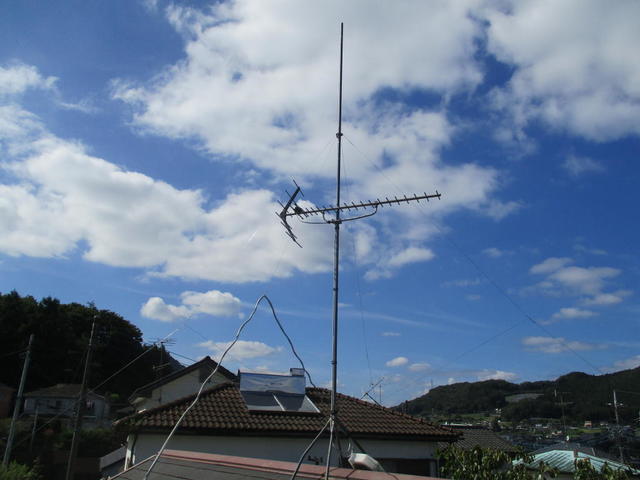 IMG_9051.jpg