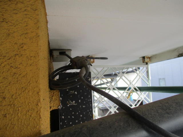 IMG_9203.jpg