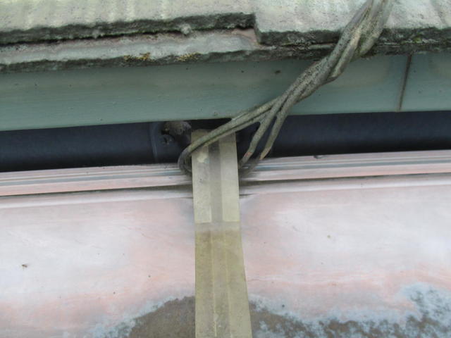 ビニール被覆のカラー鉄線で雨トヨ金具に巻かれている